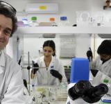 Nanociencias: una revolución en miniatura que "cambia la forma de ver el mundo"