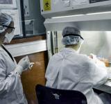 Realizaron un importante estudio sobre mortalidad por bacterias resistentes a medicamentos