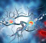 Comienza una nueva edición de la cumbre en neurociencias NS Innovation