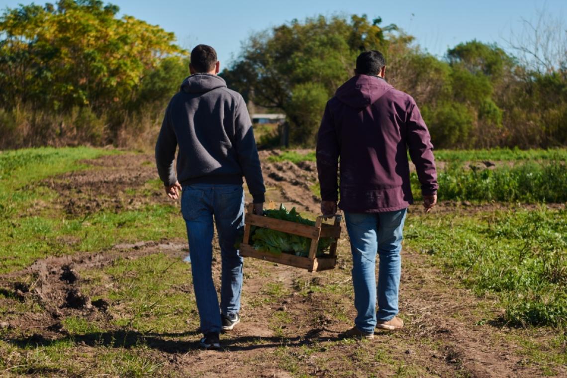 SE PRESENTARON 79 PROYECTOS PARA ACCEDER AL PROGRAMA MÓDULOS PRODUCTIVOS PARA LA AGRICULTURA FAMILIAR