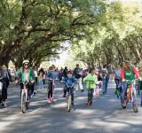 Calle Recreativa celebra sus primeros 12 años