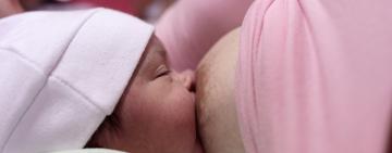 Un estudio afirma que es beneficioso consumir yerba mate durante la lactancia materna