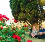 El municipio invita a una tarde de blues en el Rosedal