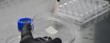 Científicos argentinos desarrollan biotinta que contiene aceite de cannabis para restaurar tejidos