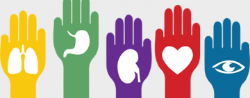 SANTA FE FUE LA SEGUNDA PROVINCIA EN ABLACIONES DE ÓRGANOS EN 2022