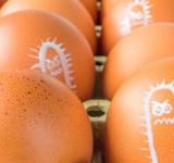 Senasa lanzó pautas para la prevención y el cuidado de la salud frente a la salmonelosis