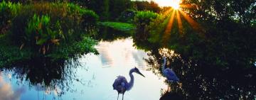 Advierten que más del 35% de los humedales del mundo desaparecieron en los últimos 50 años