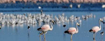 Turismo responsable en la naturaleza, un aliado de la conservación