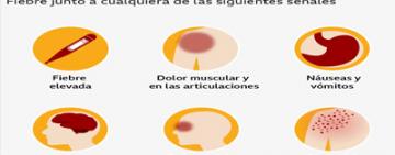 Dengue actualidad y síntomas