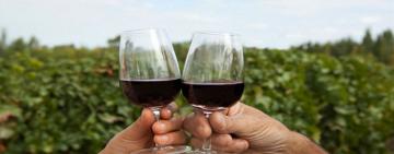 Celebración del Día del Malbec