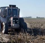 Productores vendieron más de 150.000 toneladas de soja y acumulan 1,12 millones