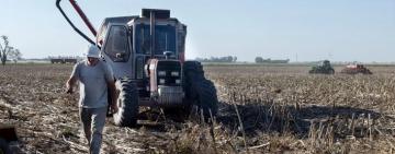 Productores vendieron más de 228.000 toneladas de soja y acumulan 2,6 millones