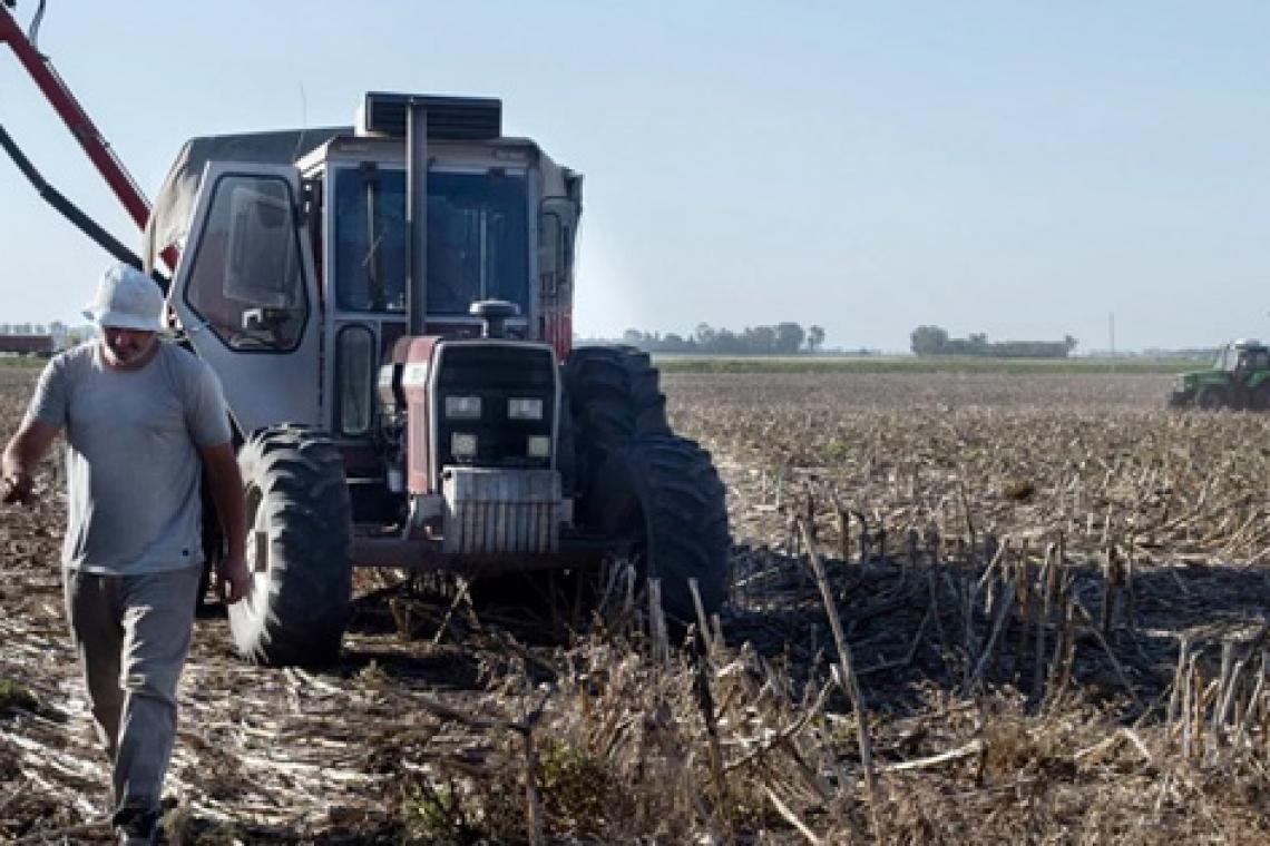 Productores vendieron más de 326.000 toneladas de soja y acumulan 3,5 millones