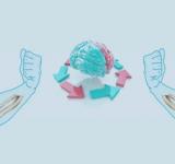 La educación cruzada, el fenómeno por el que entrenar una extremidad sana puede ayudar a curar la lesionada