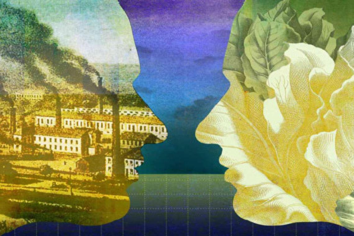 La educación ambiental no se trata sólo del cuidado de la naturaleza