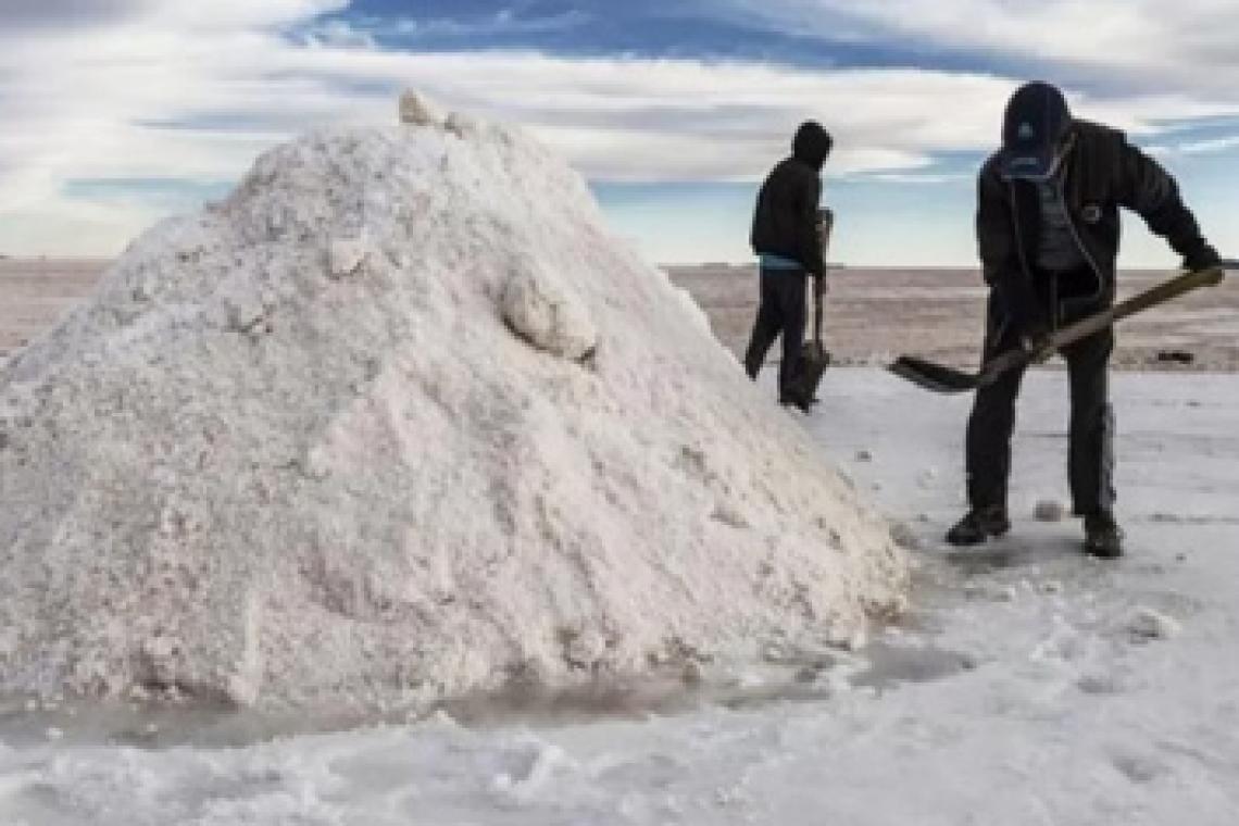Empresas mineras chinas confirmaron a Massa inversiones en litio en la Argentina