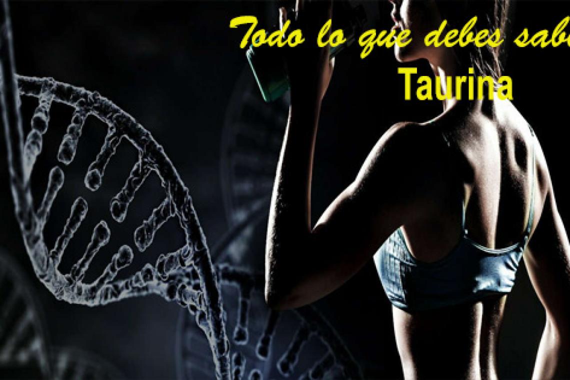 La taurina puede ser un "elixir de la vida"