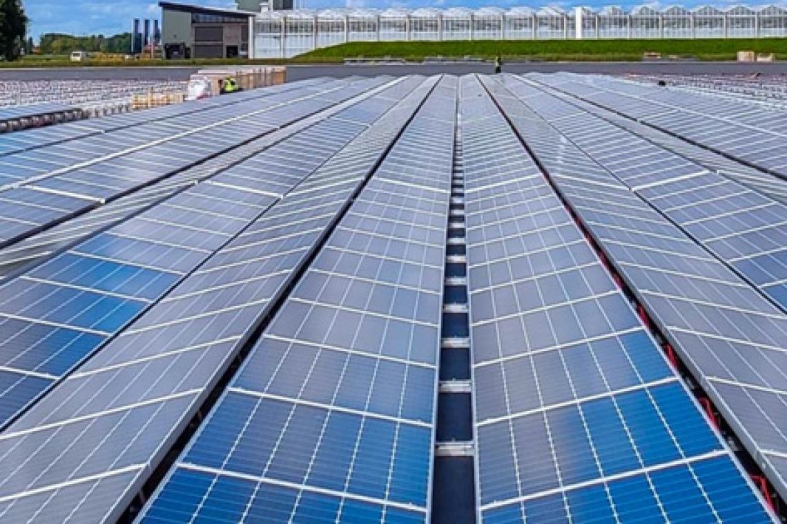 El inesperado peligro medioambiental que pueden generar los paneles solares