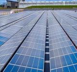 El inesperado peligro medioambiental que pueden generar los paneles solares