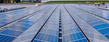El inesperado peligro medioambiental que pueden generar los paneles solares