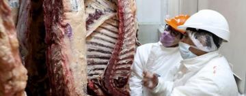 Estiman que el precio de la carne continuará por debajo de la inflación en los próximos tres meses