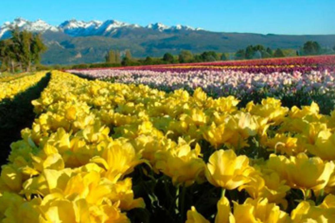 Paisajes que reconectan con la naturaleza y se afianzan como destinos primaverales