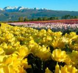 Paisajes que reconectan con la naturaleza y se afianzan como destinos primaverales