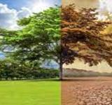 ONU: se agotan fondos para enfrentar el calentamiento global