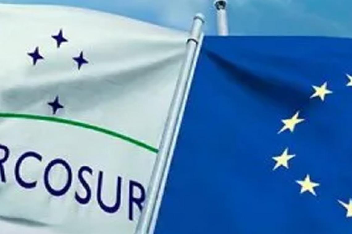 Eurodiputados y Argentina: en busca del acuerdo con Mercosur