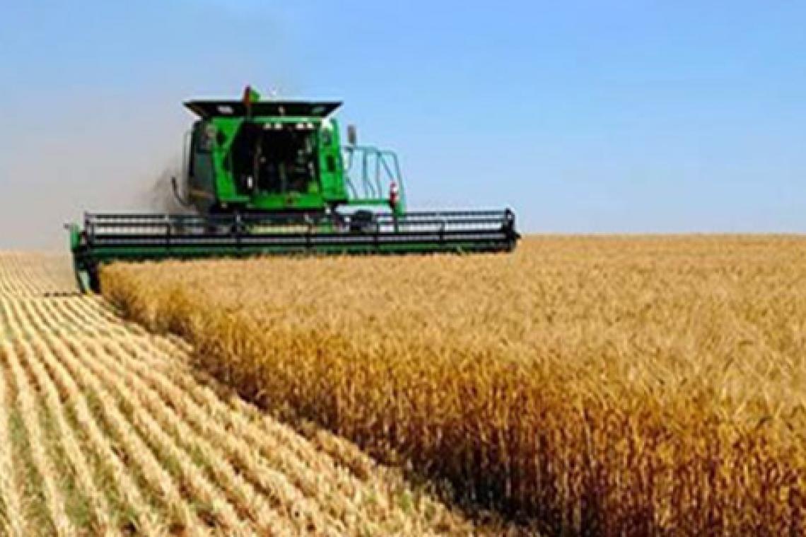 La agroindustria generó el 55% de las exportaciones argentinas en 2023