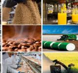 El Gobierno nacional anunció financiamiento para fortalecer al sector agroindustrial