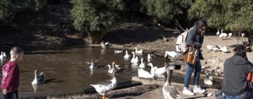 La Granja de la Infancia celebra 25 años de juego y convivencia