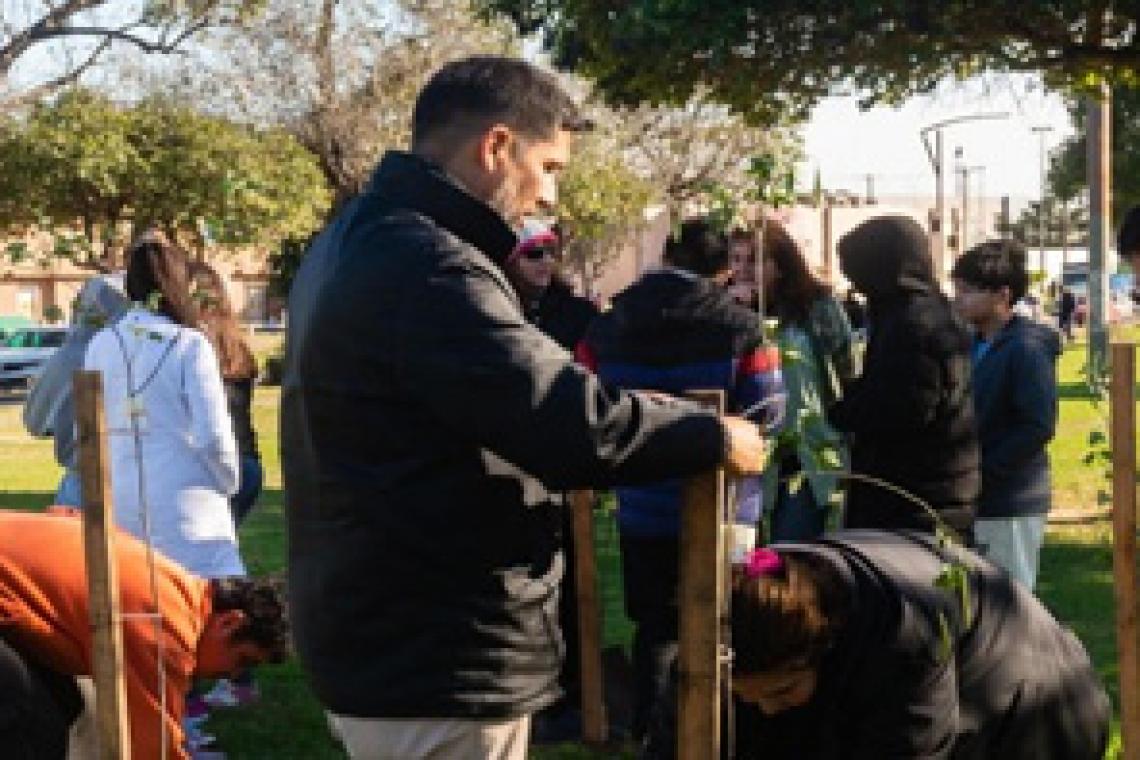 La ciudad cuenta con 100 nuevos árboles nativos en un sector del distrito Norte