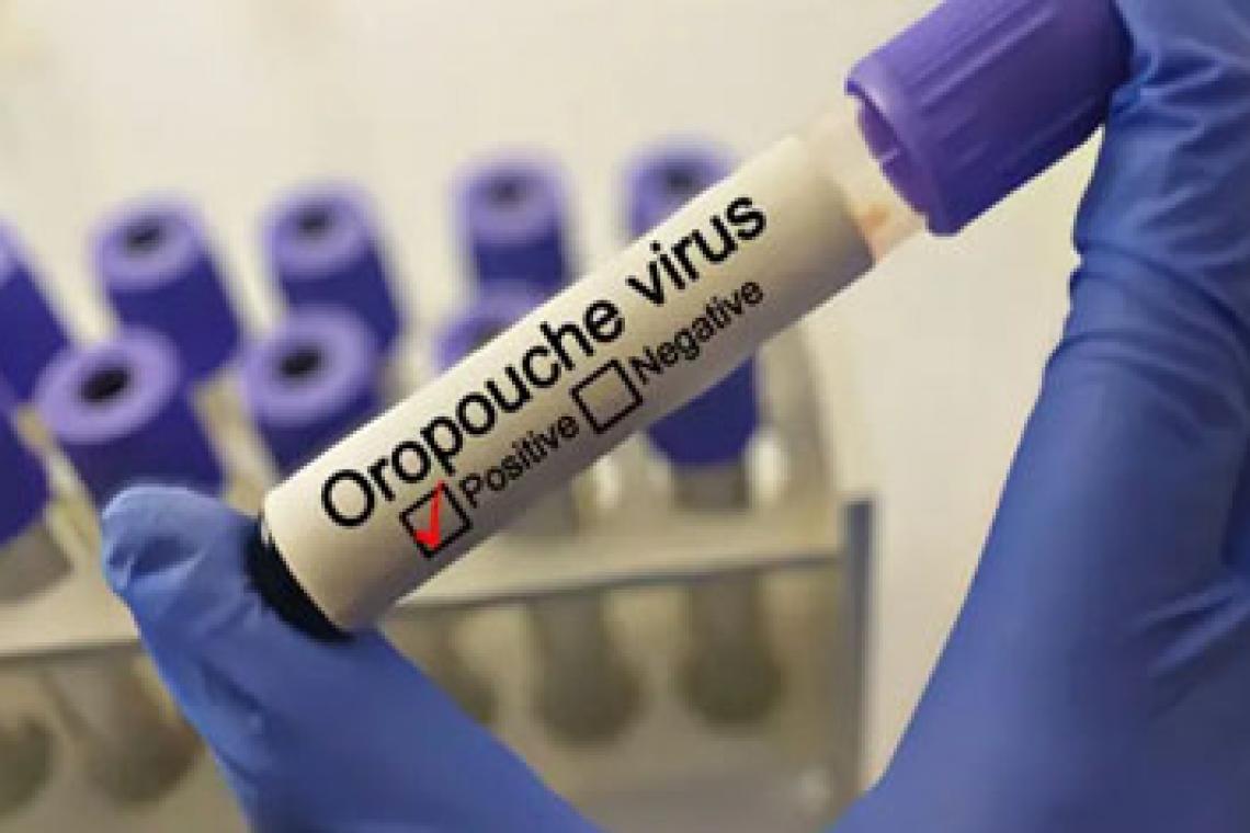 Oropouche: El Virus Emergente que Alarma a América Latina