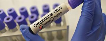 Oropouche: El Virus Emergente que Alarma a América Latina