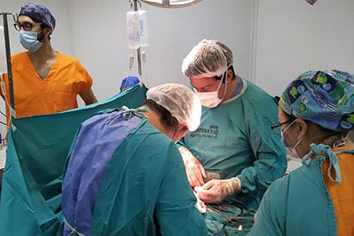 Durante 2024, la provincia de Santa Fe registró 75 donaciones de órganos