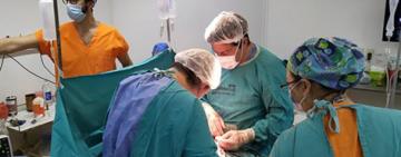 Durante 2024, la provincia de Santa Fe registró 75 donaciones de órganos