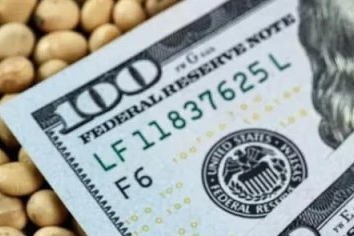 La agroindustria aportó el 92% de las divisas netas que ingresaron al país 