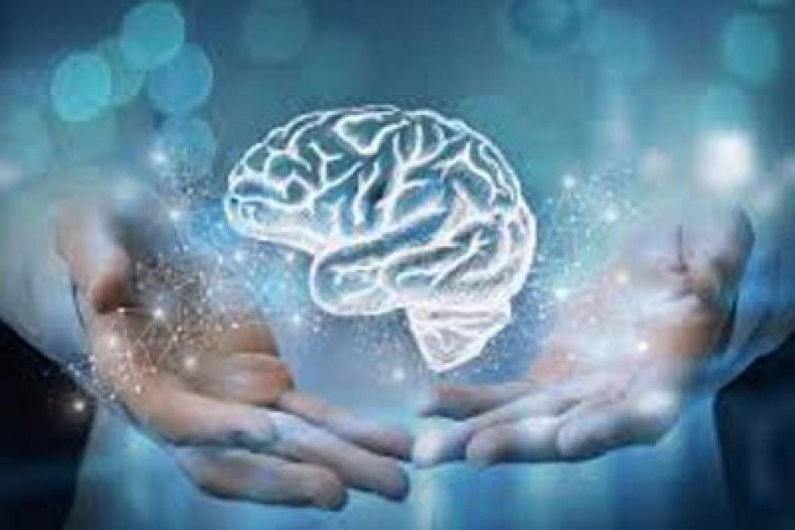 Santa Fe consolida su modelo de salud mental comunitaria con apoyo internacional