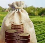 Santa Fe considera “un error” que se vuelvan a aumentar las retenciones al sector agropecuario