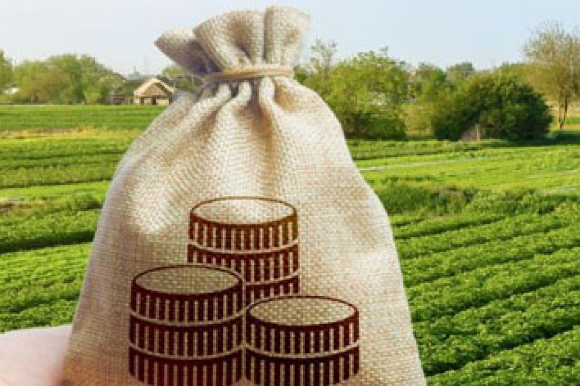 Baja de retenciones: ¿qué porcentajes quedan y qué productos alcanzan?