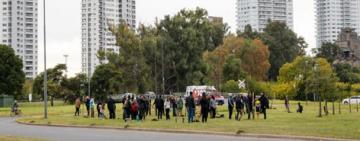El municipio convoca a voluntarias y voluntarios a una plantación de árboles 