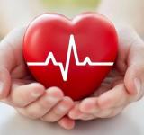 Día Mundial del Corazón: prevención, hábitos saludables y capacitación en Rosario