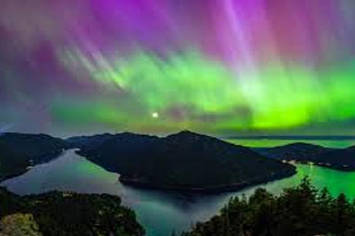 El secreto detrás de los videos de naturaleza que tranquilizan a millones