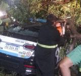Impacto de la tormenta en Rosario: 13,3 mm de lluvia y ráfagas de 75 km/h