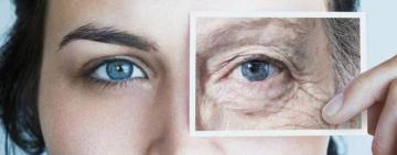 Cómo aceptar un rostro que envejece: entender la piel para entendernos mejor