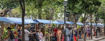 Navidad en Rosario: ferias, descuentos y compras con foco local