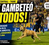¡Se gambeteó a todos! Un perro invadió la cancha en Central–Tigre y se llevó la ovación