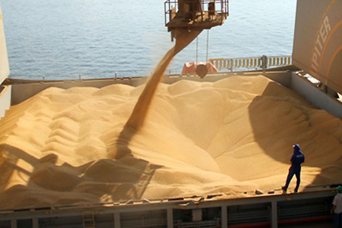 Pese a la cosecha récord, la liquidación de dólares del campo cayó 11% en el primer cuatrimestre