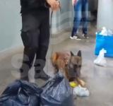Controles en cárceles: detectaron marihuana y cocaína ocultas entre pertenencias de visitantes al penal de Las Flores